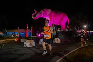 BIB: 
                            <button type="button" onclick="openModal(26552114)" class="btn btn-primary btn-sm float-right btn-popup" data-toggle="modal" data-target=".modal-high-quality">
                        <i class="fas fa-shopping-cart"></i> Add to Cart
                    </button>
                                            <button type="button" onclick="isThisMe(26552114, true)" class="btn btn-success btn-sm float-right btn-popup btn-isme hidden" data-toggle="tooltip" data-placement="bottom" title="นี่คือรูปของคุณใช่ไหม คลิกที่นี่เพื่อเอาเข้าอัลบั้ม">
                        <i class="fas fa-plus"></i> Add to album
                    </button>
                    <button type="button" onclick="isThisMe(26552114, false)" class="btn btn-warning btn-sm float-right btn-popup btn-isnotme hidden">
                        <i class="fas fa-ban"></i> Remove from album
                    </button>